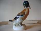 Ozonlampe - Vildand Gruppe: nder - Hjde: 20cm